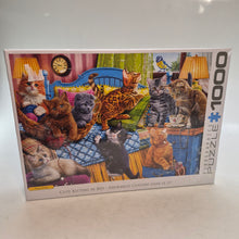Load image into Gallery viewer, Eurographics 1000pc Puzzle