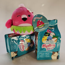 Load image into Gallery viewer, Squishmallows Mystery Squad
