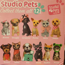 Load image into Gallery viewer, Studio Pets Mini Figures
