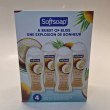 Load image into Gallery viewer, SOFTSOAP Body Wash
